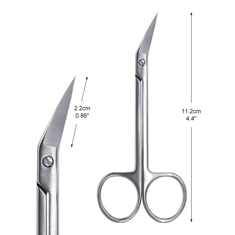 1 قطعة مقص صغير للأسنان منحني  - مراجعة Medical Scissors وسعره